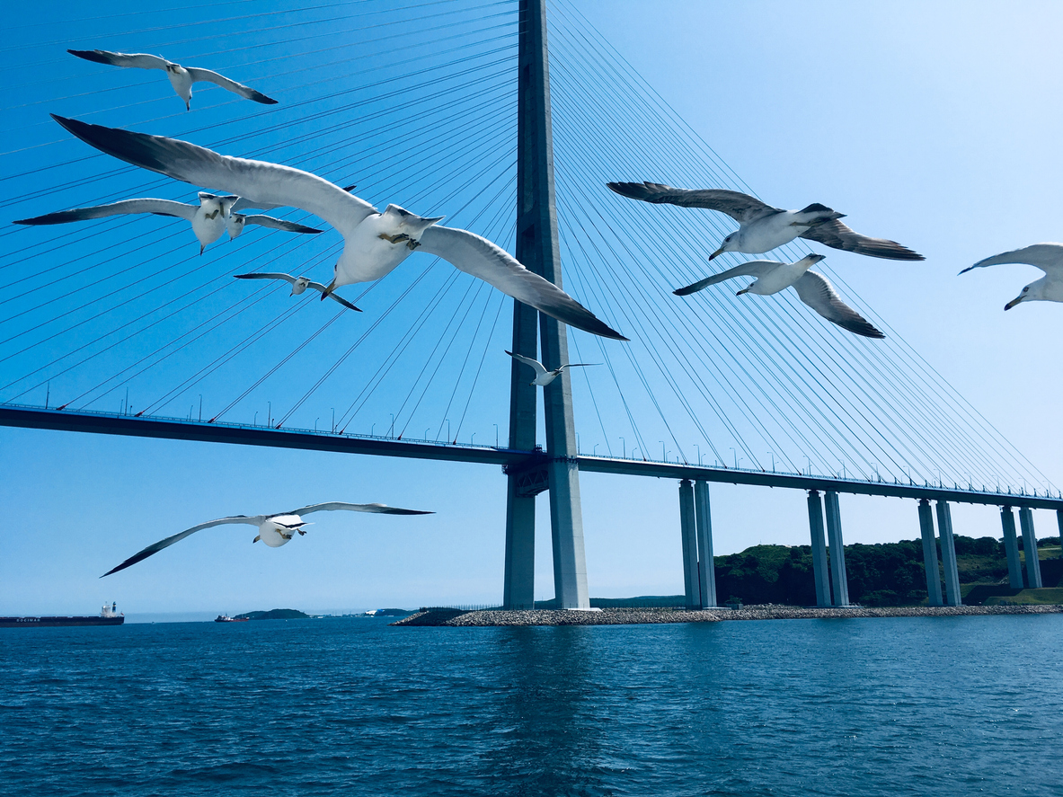 Фото: iStock